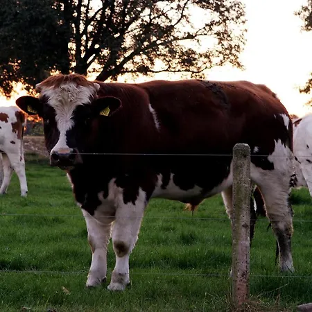 Boerderijlodge 't Vrielinck Geesteren (Overijssel)
